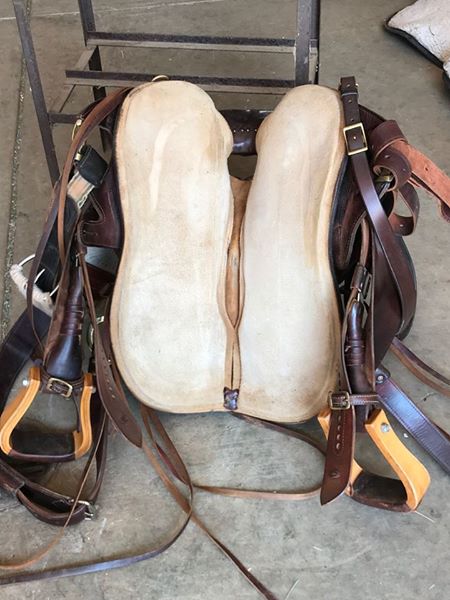 Parelli Fusion Saddle | Fur Babies Central
