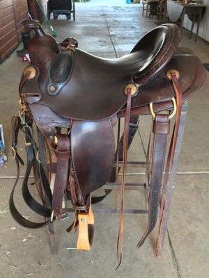 Parelli Fusion Saddle | Fur Babies Central