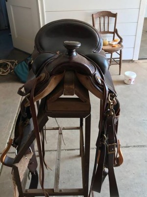 Parelli Fusion Saddle | Fur Babies Central